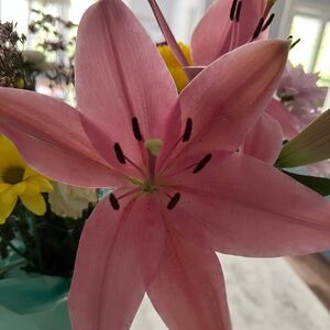 Meet your Posher, Wendy